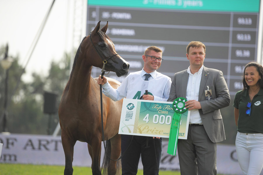 AHCII chairman, Łukasz Łuniewski - Lucas Luniewski as a Golden Sponsor of the European Arabian Horse Festival handed over prizes to the winners in few classes. Since 2014, through all editions AHCII Institute has bee the Golden Sponsor and a strategic partner of the Festival.